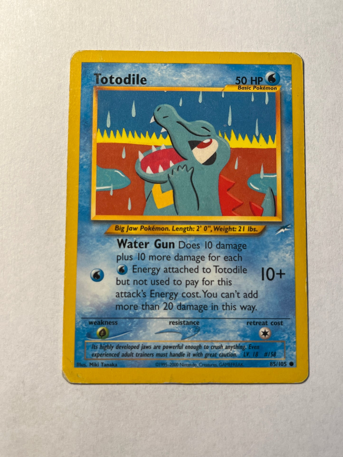 Totodile 85/105 / Neo Destiny - Englisch - Karnimani